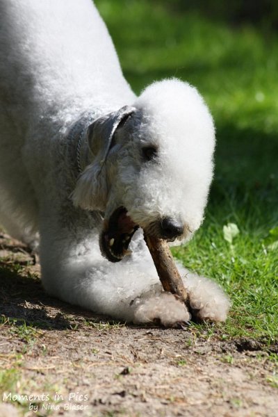 2010-05-29 Alanna und Svet (28).jpg - Airis Blue Volshebny Svet - 2010-05-29